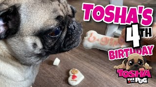 Tosha's 4th Birthday | TOSHA the PUG | Vancity...
