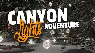 Forest Winter Adventure: Canyon Lights At...