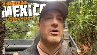 Best Ziplines in Cancun For Extreme Adventure...