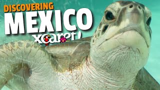 XCARET You Can Find Underground Rivers in...