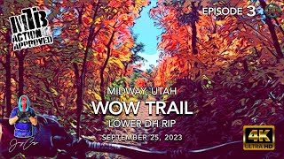 MTB Riding The WOW Trail | Lower DH Rip |...