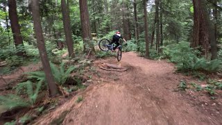 Mountain biking trails with tons of flow
