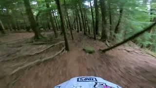 Bean trail tolly