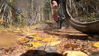 Dr Park Downhill