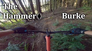 The Hammer - Burke