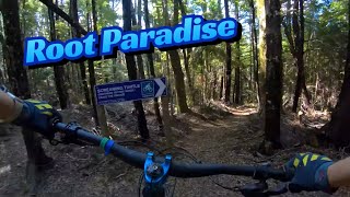 Root paradise waiting for you on Screaming...