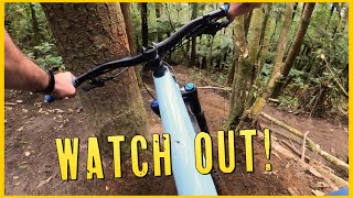 Deciphering Rotorua's ILLEGAL MTB Trails