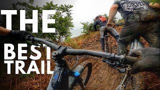 Riding a New Mountain Bike Trail in Caerphilly