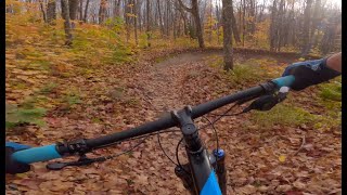 Flowy Trails and Vibrant Fall Colors: Mountain...