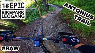 Antonius Trail #RAW - Ein Singletrail...