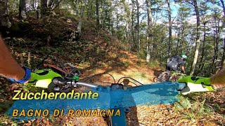 Zuccherodante, Bagno di Romagna (FC), 14-10-2023