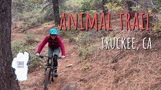 Animal Trail Has Gotten WAY Chunkier Since...