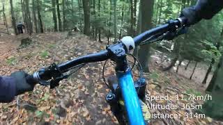 Widna 2 (niebieska) - enduro MTB Bystrzyca...