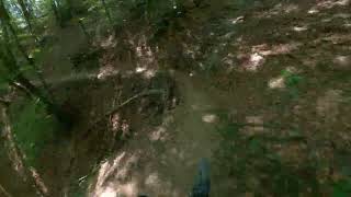 DH25 - Alpe di Cavarzano | Brasimone Trail Area