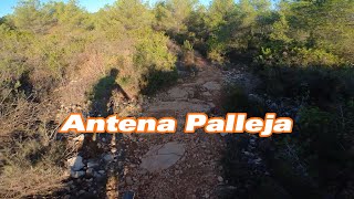 Antena Pallejà