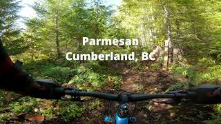 Parmesan in Cumberland, BC