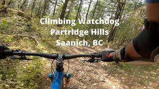 Climbing Watchdog at Partridge Hills in...