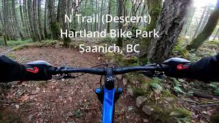 N Trail (Descent) at Hartland Bike Park,...