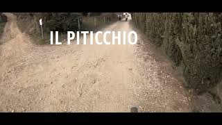 IL PITICCHIO - 4K