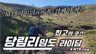 당림리 임도 ‍♂️ 꼭 가봐야...