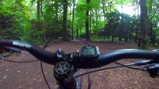 pollok park DH MTB gimbal