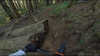 North ridge DH | Mary's peak