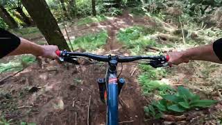 Piggy Bank @ Mangamahoe MTB Park. Taranaki