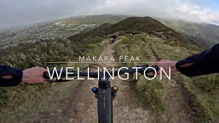 Riding at Makara Peak Wellington.