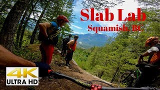 Slab Lab version 2.0 but might just be the...