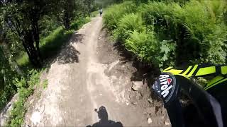 Viola St Gree Trail Ottovolante