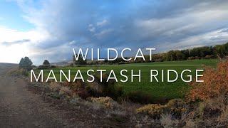 Wildcat - Manastash Ridge - Ellensburg,...