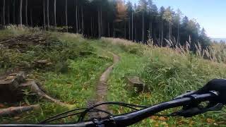 Velryba MTB Trail Rychlebske Stezky 4K