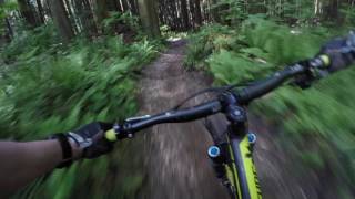 Lower Burke trails: Ridden Art / Garbage /...