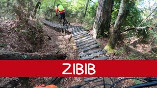 MTB Roveta 28.10.2023 sentiero ZIBIB