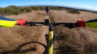Wilder Baldwin DH - dusty and wild! With a...