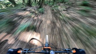 BEST TRAIL in Madeira Island ??? FOLHADAL!!!