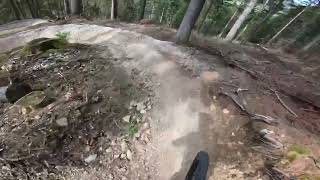 Trailland Miesenbach - Forest fun & Huiway
