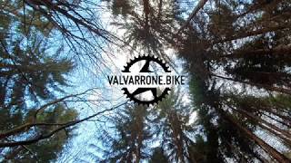 LOST IN THE PINEWOOD-Valvarrone Bike
