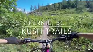 Kush Trails - Fernie, BC | Mountain Biking