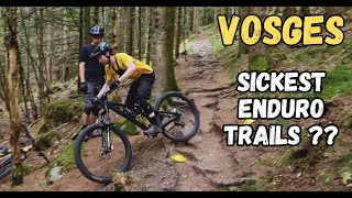 Enduro Paradijs! | Vogezen Part 1. | MTB-Solutions