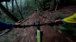 Corte de Madera - Crossover DH
