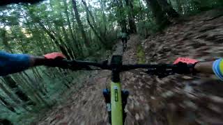 Corte de Madera - North Leaf DH