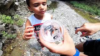 Fiume Taddarita