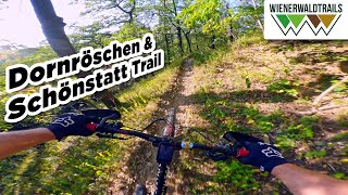 Back to the roots - Schönstatt &...