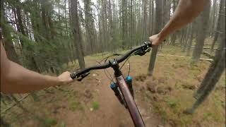 SideTrax A New Blue Flow Trail on Husky...