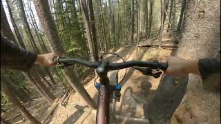 Full Top to Bottom Billy Dog POV Footage |...
