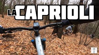 ONE SHOT! Albavilla PS2 - CAPRIOLI