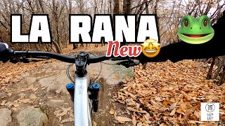 ONE SHOT! La Rana: NEW!
