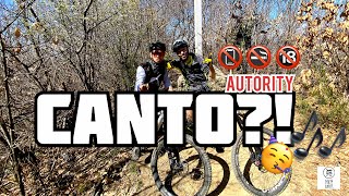 Canto ?! Con il @il_Talle e VIT “the...