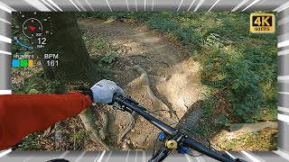 Dornröschen Trail  2023 RAW | MTB Wienerwald...